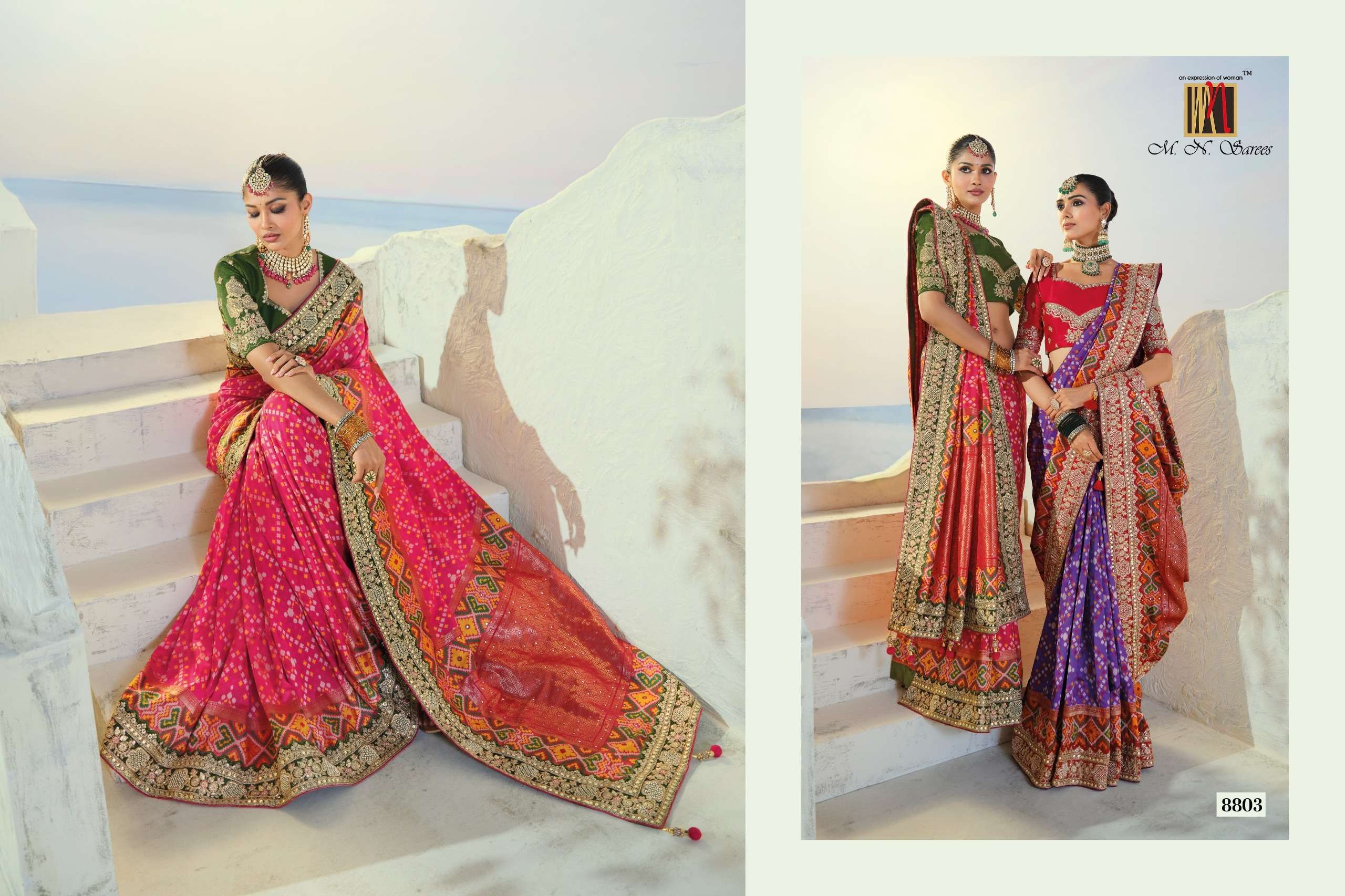 MN The Heritage Of Patola 8800 Series fancy fabric saree wholesale in surat
